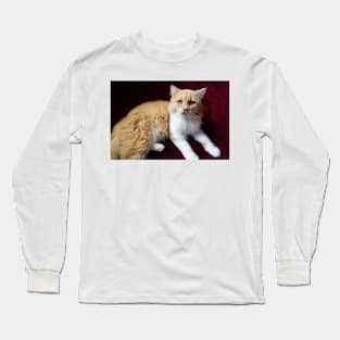 cute cat portrait Long Sleeve T-Shirt